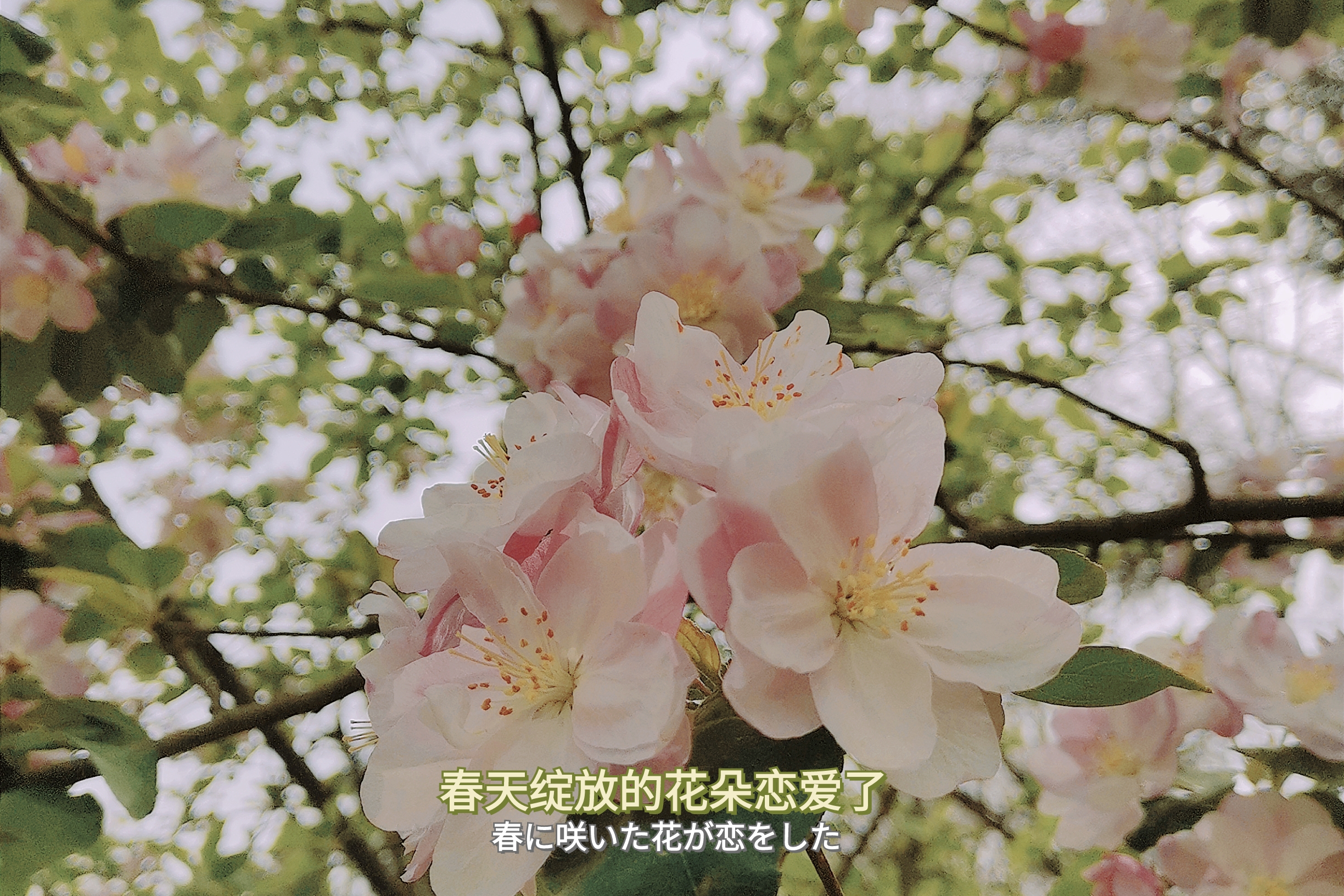 微信图片_20240325151233.jpg